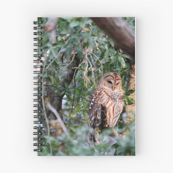 Item preview, Barred Owl Perched On A Branch designed and sold by Cynthia48.