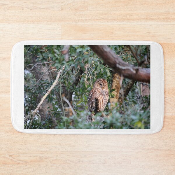 Item preview, Barred Owl Perched On A Branch designed and sold by Cynthia48.
