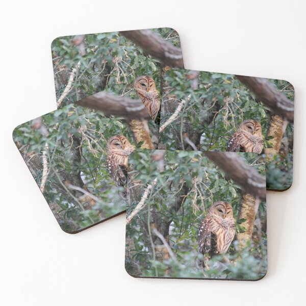 Item preview, Barred Owl Perched On A Branch designed and sold by Cynthia48.