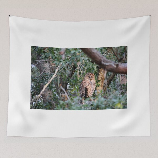 Item preview, Barred Owl Perched On A Branch designed and sold by Cynthia48.