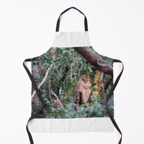 Item preview, Barred Owl Perched On A Branch designed and sold by Cynthia48.