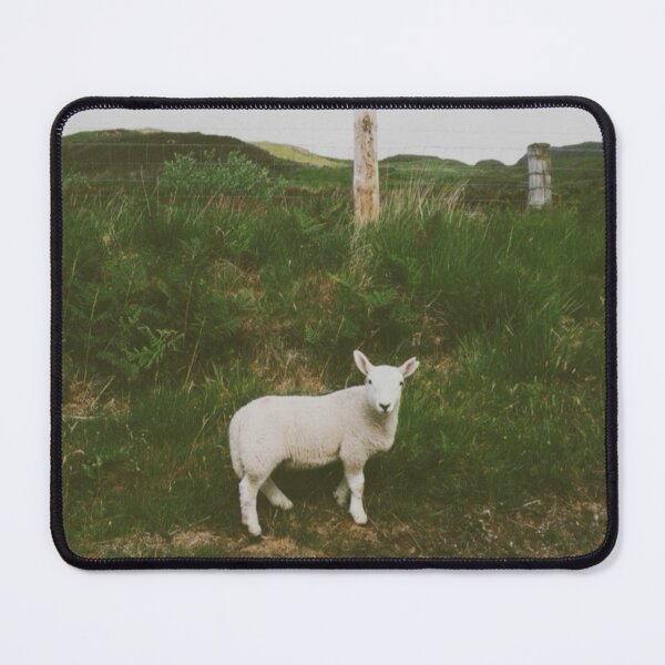 Item preview, Little Lamb - Isle of Mull - Scotland designed and sold by Emilia Oxelheim.