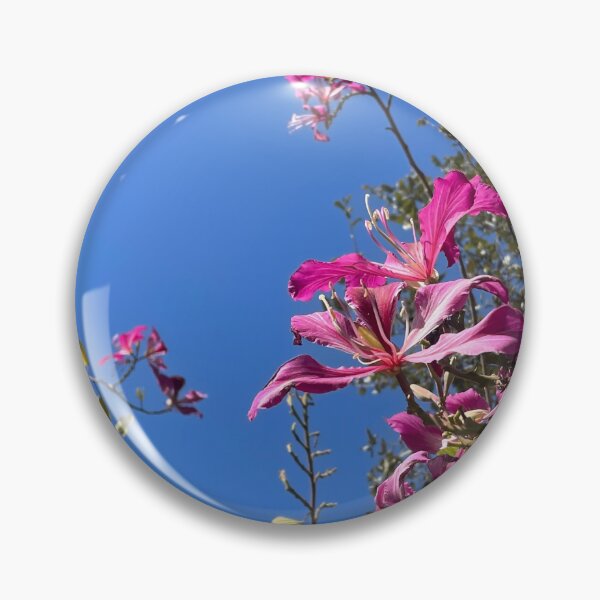 Item preview, Orchid Tree Blooms (Bauhinia variegata) designed and sold by Sparkleweather.