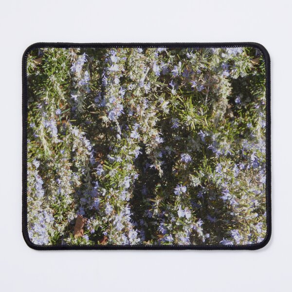 Item preview, Cascade designed and sold by Paul Pasco.
