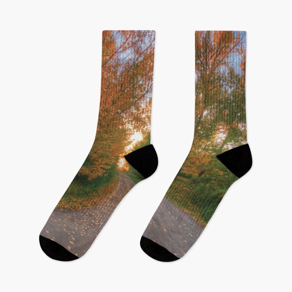 Item preview, Fall Farm Driveway Rural Alberta designed and sold by ColdCreekCanvas.