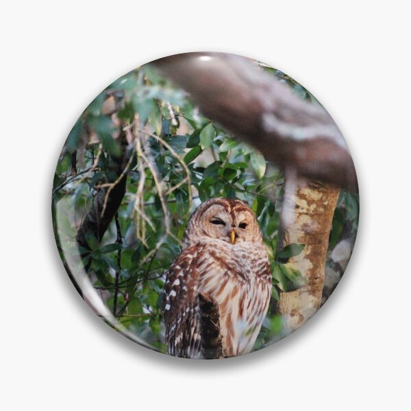Item preview, Beauty Of A Barrel Owl designed and sold by Cynthia48.