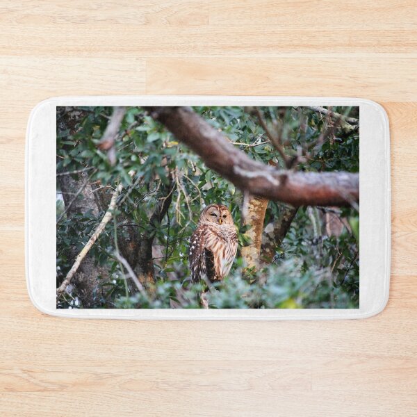 Item preview, Beauty Of A Barrel Owl designed and sold by Cynthia48.