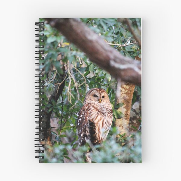 Item preview, Beauty Of A Barrel Owl designed and sold by Cynthia48.