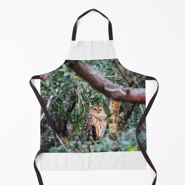 Item preview, Beauty Of A Barrel Owl designed and sold by Cynthia48.