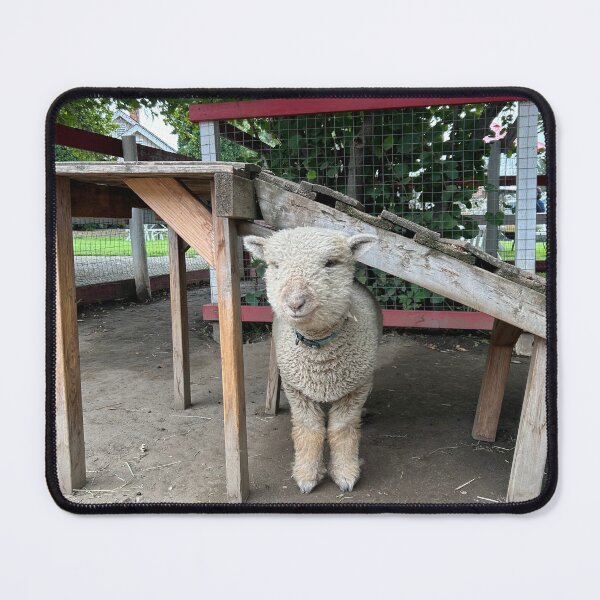 Item preview, Babydoll Sheep designed and sold by Amanda Crone.