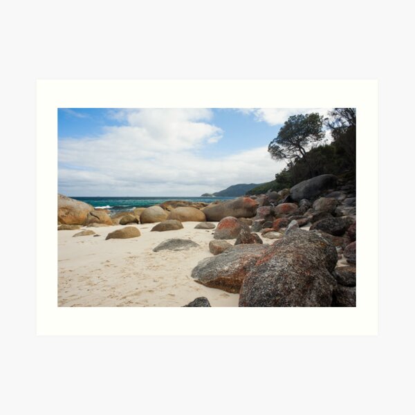 Little Waterloo Bay Art Print