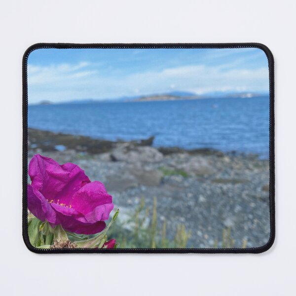 Item preview, Colour by the beach designed and sold by Amanda Crone.