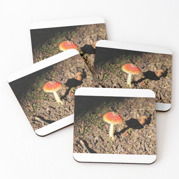 Item preview, Seta en el bosque designed and sold by raleca78.