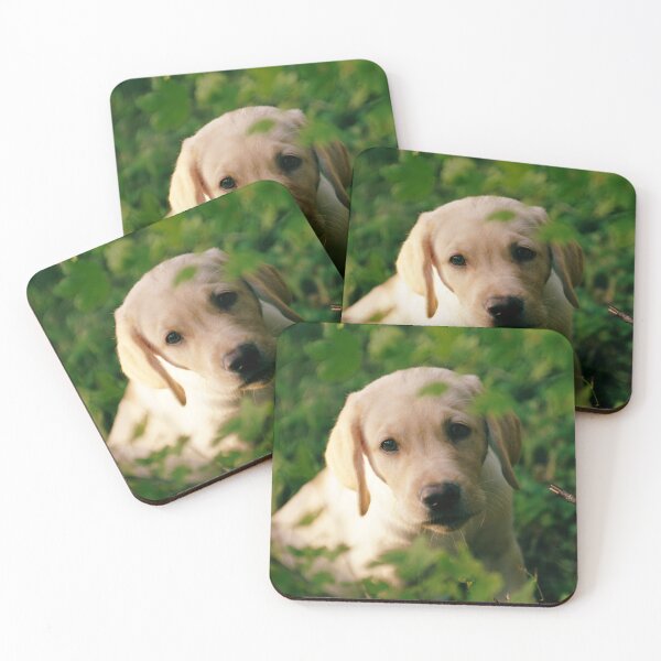 Item preview, Dog looking through bushes designed and sold by riku05830.