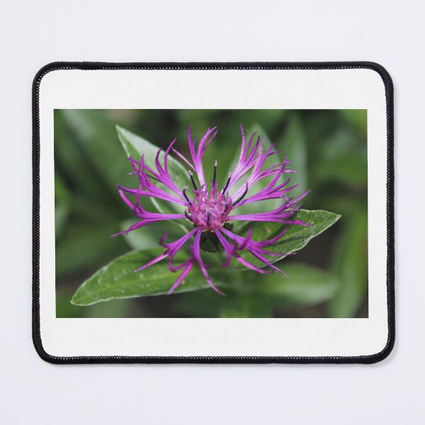 Item preview, Purple flower designed and sold by raleca78.