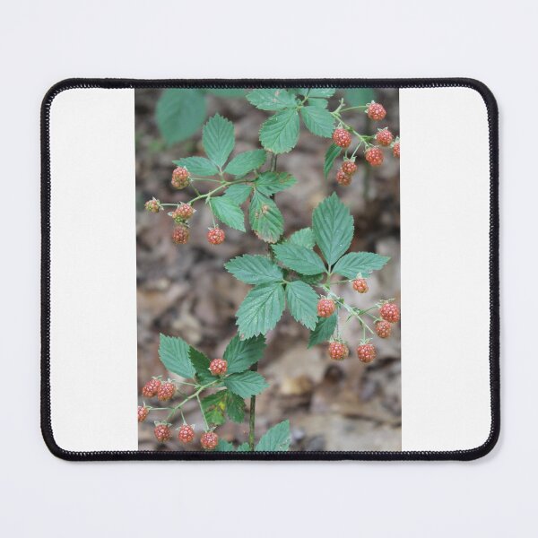 Item preview, Wild berries designed and sold by raleca78.