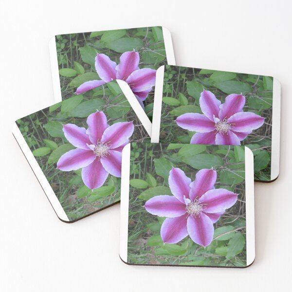 Item preview, Two-tone clematis designed and sold by raleca78.