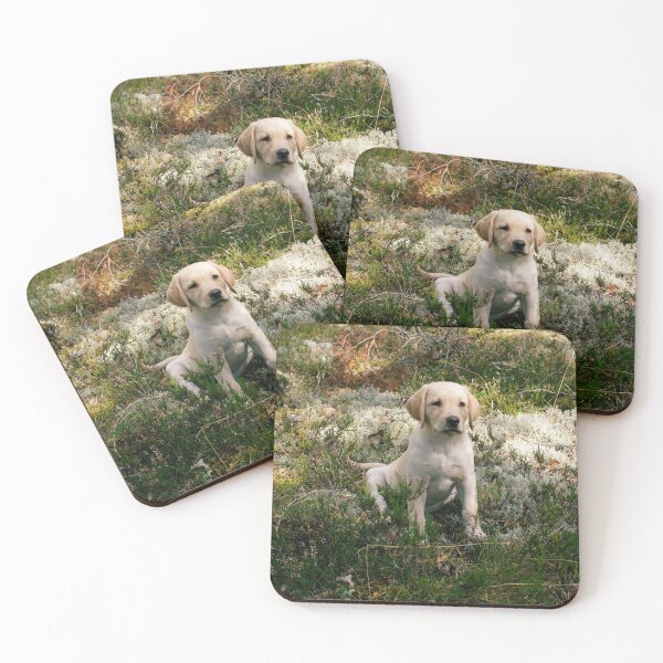 Item preview, Puppy sitting on forest bed designed and sold by riku05830.