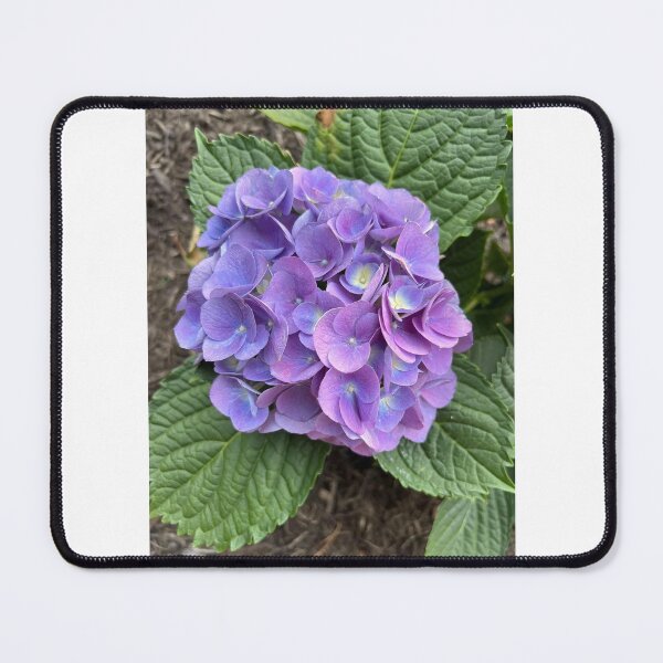 Item preview, Purple hydrangea  designed and sold by raleca78.