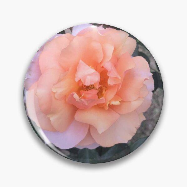 Item preview, Peach rose designed and sold by raleca78.