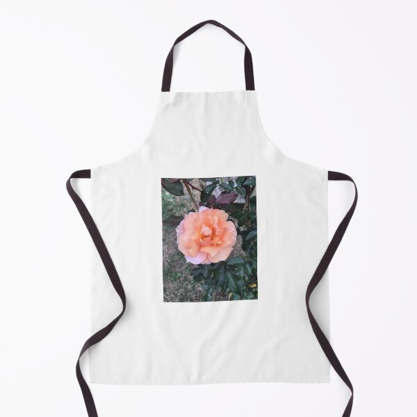 Item preview, Peach rose designed and sold by raleca78.