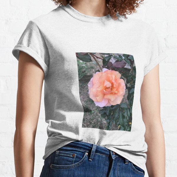 Item preview, Peach rose designed and sold by raleca78.