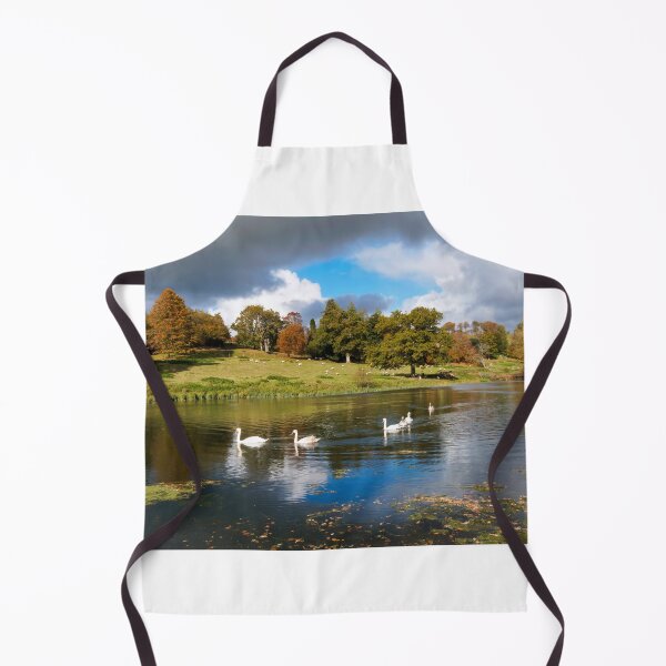 Item preview, Mute Swans on the River near Chard Somerset designed and sold by Dorset Girl.