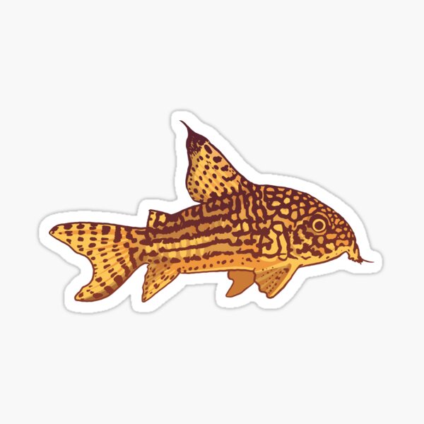 Catfish in a hat Sticker for Sale by WixiBaby