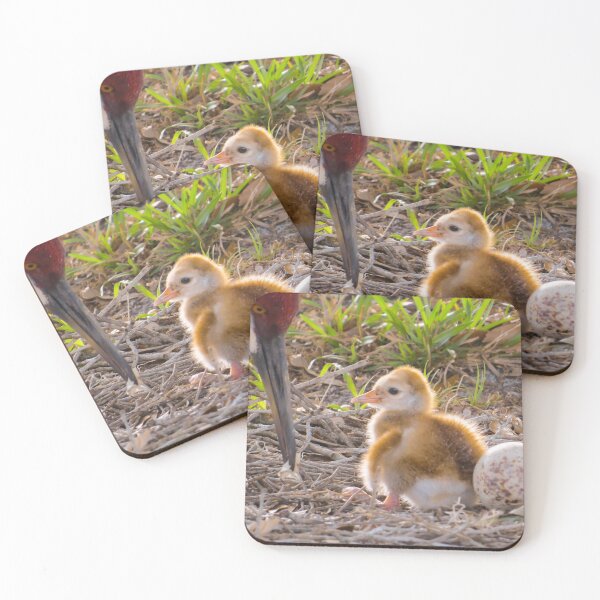 Item preview, First chick designed and sold by Zina Stromberg.