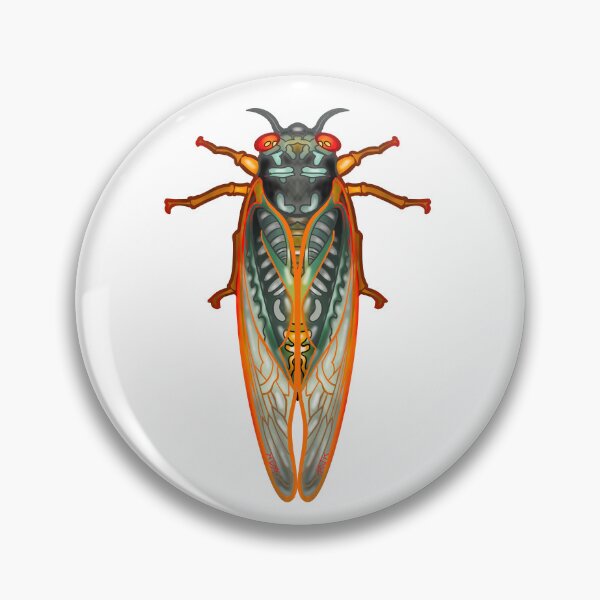 Item preview, 13 and 17 Year Periodic Cicada designed and sold by RJKpoyp.