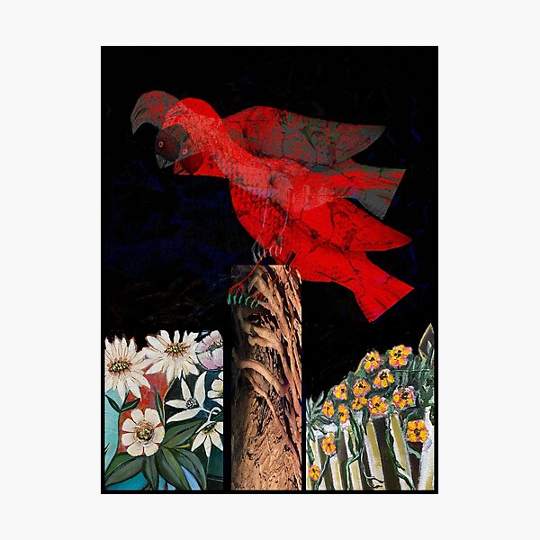 Item preview, ‘Aussie Bush Birds’ designed and sold by Linda Truskett Art.