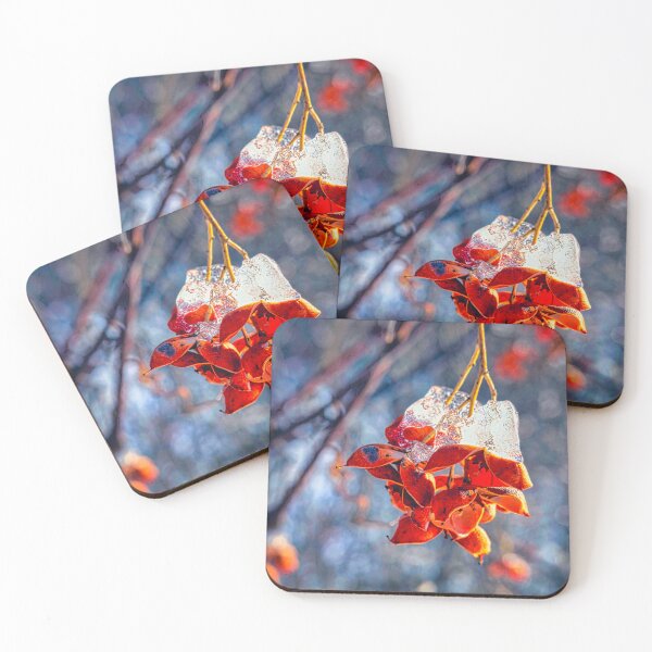 Item preview, Fire and Ice Bittersweet 4 designed and sold by Robert Alsop.