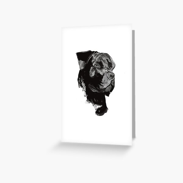 Cane Corso dog portrait black and white Greeting Card