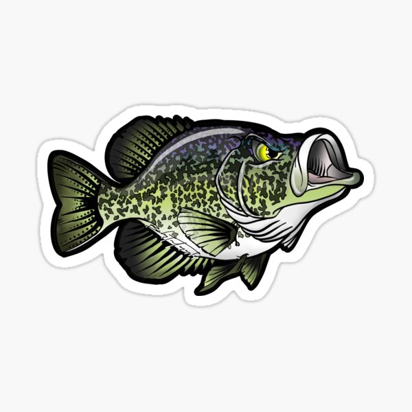CRAPPIE STRINGER Sticker Decal fly fishing 5 x 3 1/2 glossy