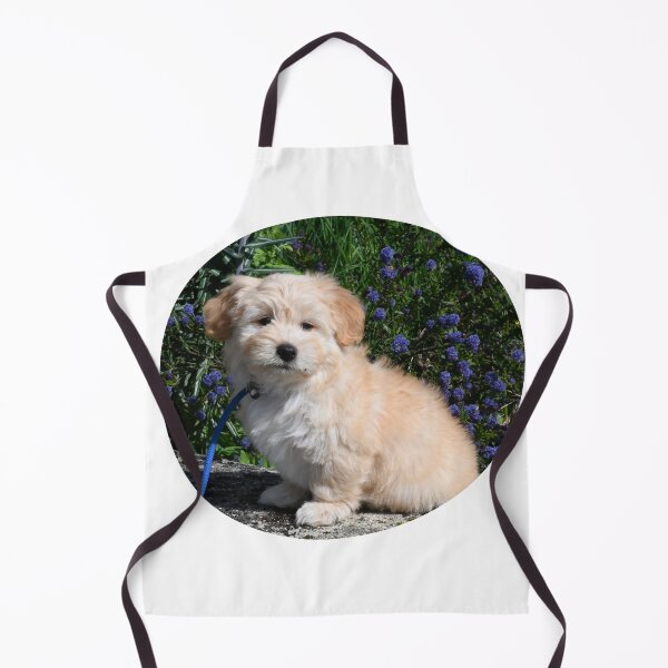 Item preview, Havanese Puppy designed and sold by TheAnimalZ00.