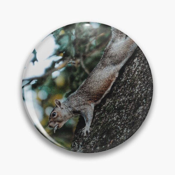 Item preview, Swole Gray Squirrel designed and sold by Tessia Photography.