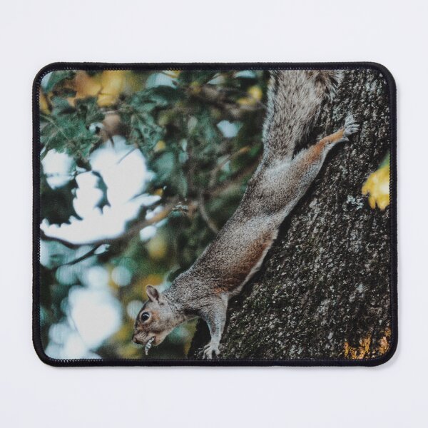 Item preview, Swole Gray Squirrel designed and sold by Tessia Photography.