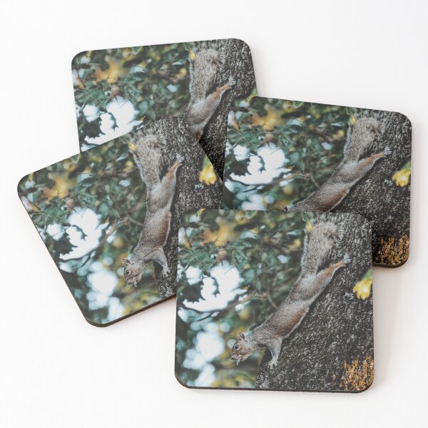 Item preview, Swole Gray Squirrel designed and sold by Tessia Photography.