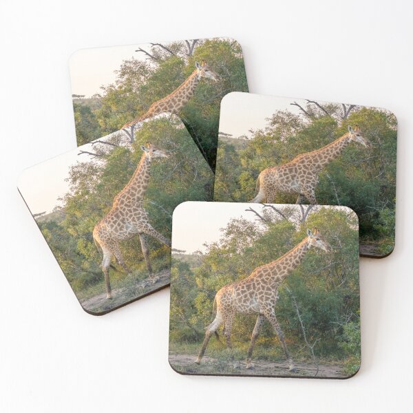 Item preview, Giraffe in the Late Afternoon designed and sold by SafariByMarisa.