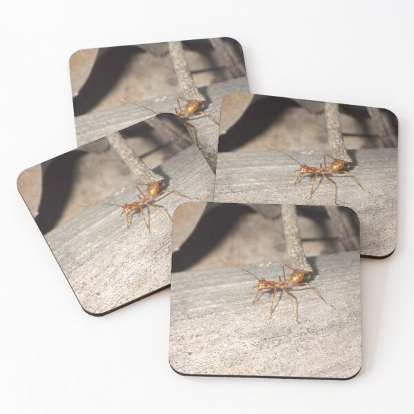 Item preview, Asian Weaver Ant (Oecophylla smaragdina) in the Philippines designed and sold by The Botanical Jason.