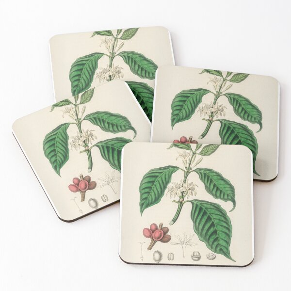 Item preview, Coffea Arabica: The Art and Science of Coffee designed and sold by AwakenCoffee.