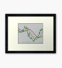 Indicator Alligator on white Framed Print