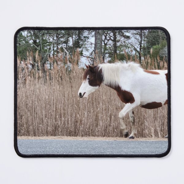 Item preview, Chincoteague horse designed and sold by Raineylanes.
