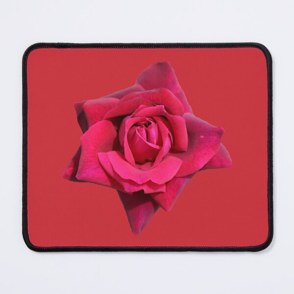 Item preview, A Beautiful Red Rose designed and sold by STHogan2.