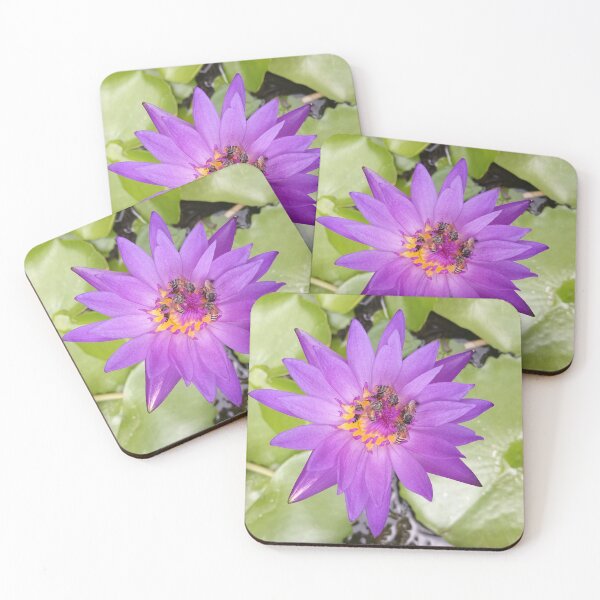 Item preview, Bees Pollinating a Waterlily in Bangkok, Thailand designed and sold by The Botanical Jason.