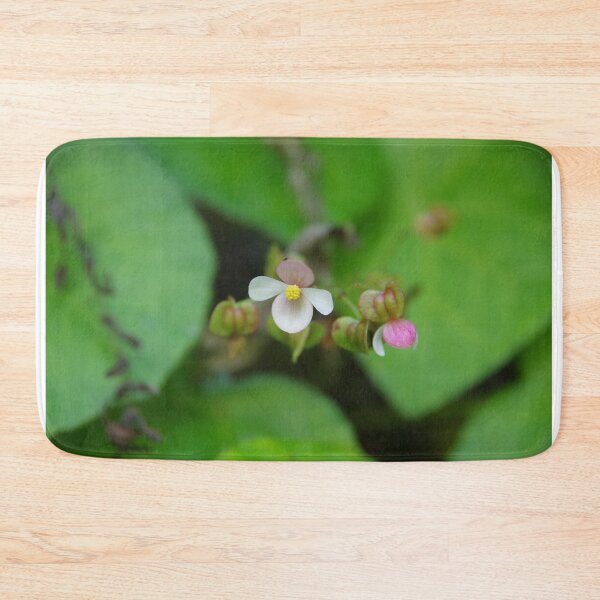 Item preview, Native Begonia Flower Blooming in Cebu, Philippines designed and sold by The Botanical Jason.