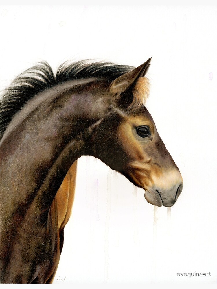 Mozzie by evequineart