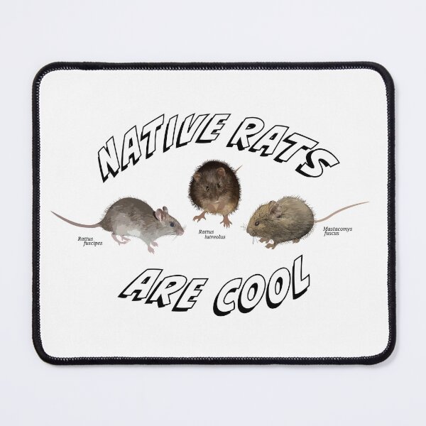 Item preview, Native rats are cool! designed and sold by Racheltmason.