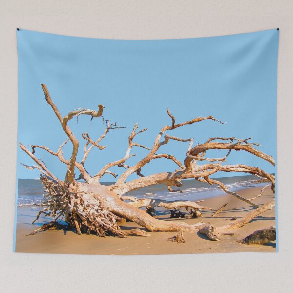 Item preview, Live Oak Graveyard - Jekyll Island designed and sold by Rupprat.