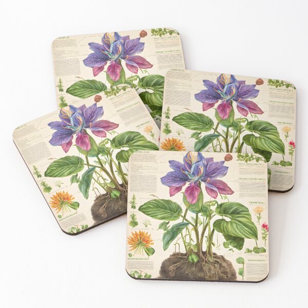 Item preview, Botanical Drawing 10 designed and sold by FeatheredWolf.